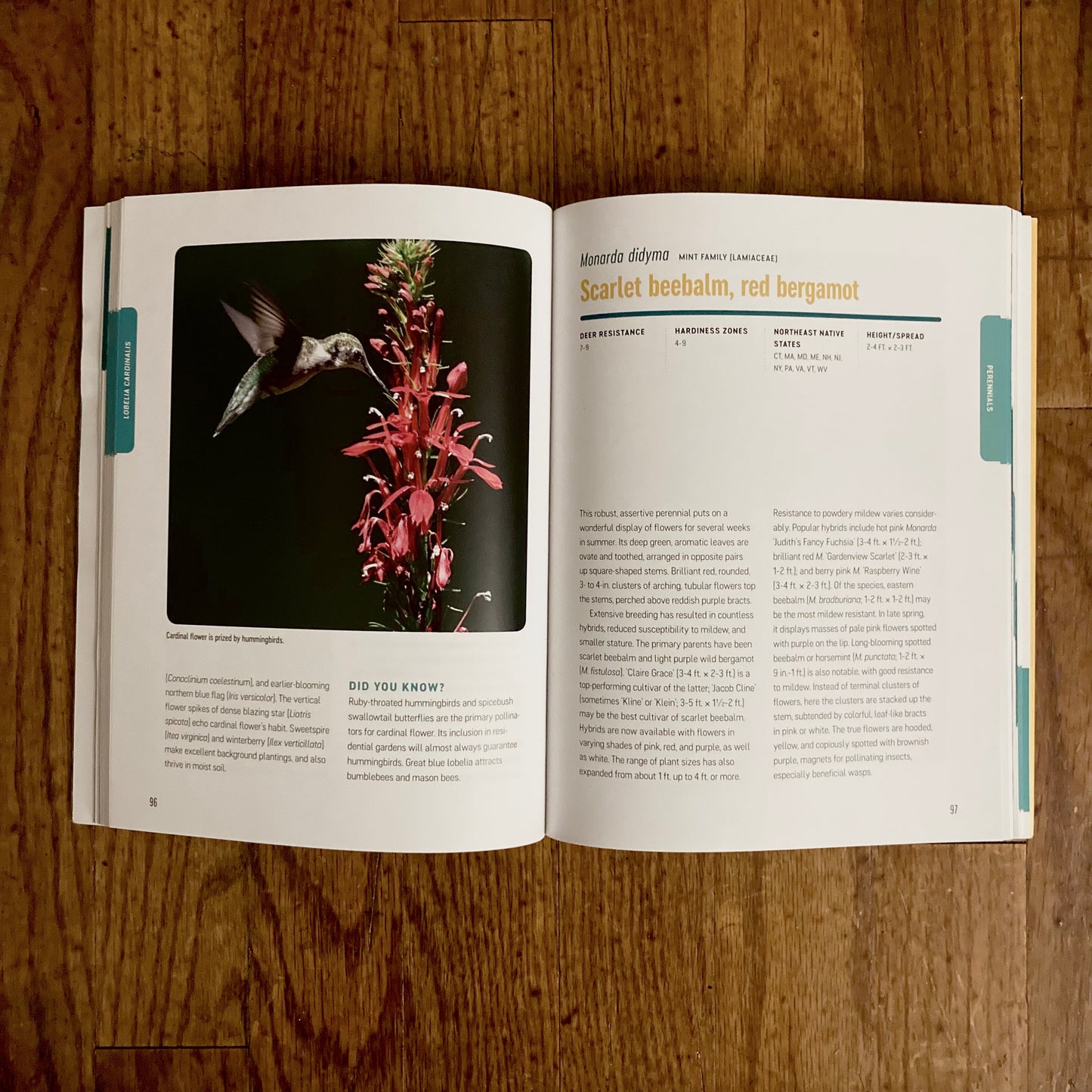 Book bundle: Deer-Resistant Native Plants for the Northeast