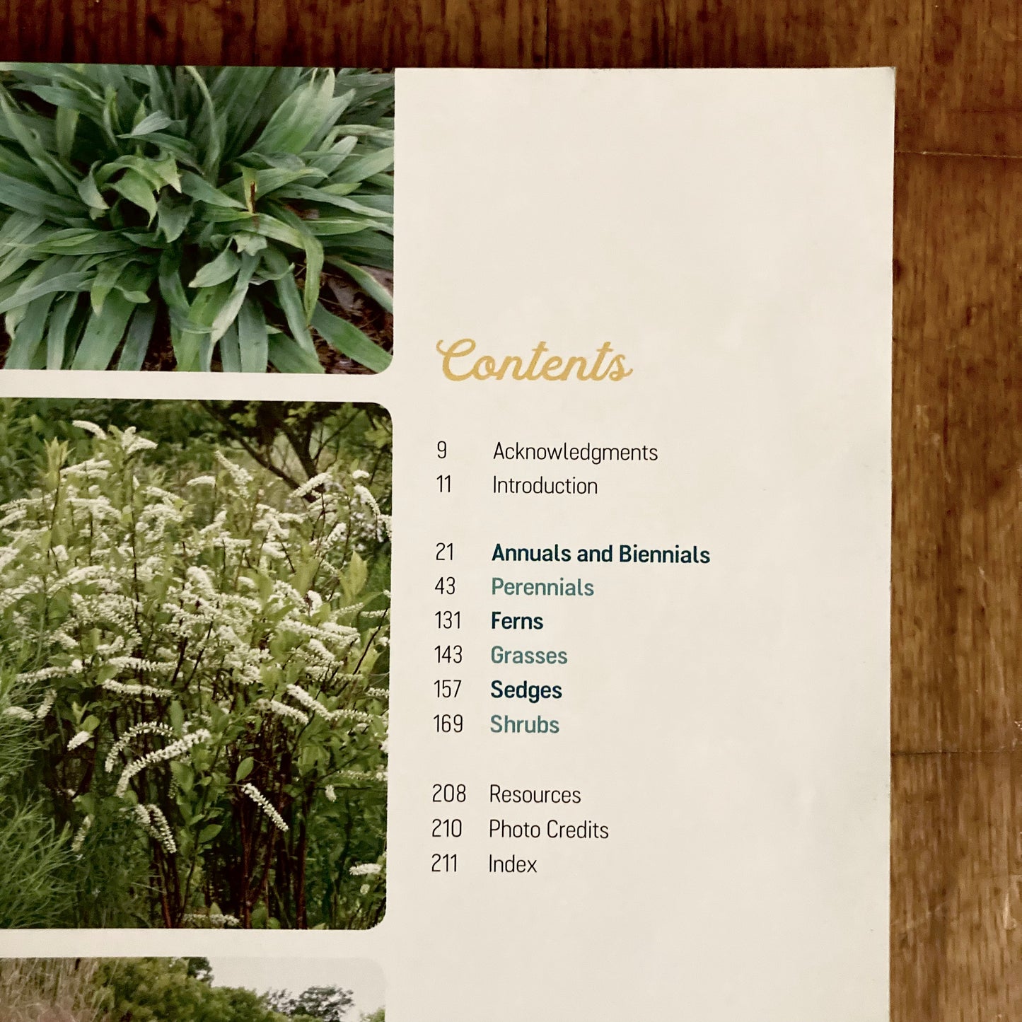 Book bundle: Deer-Resistant Native Plants for the Northeast